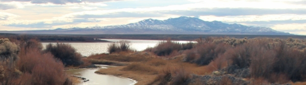 Great Basin Water Network