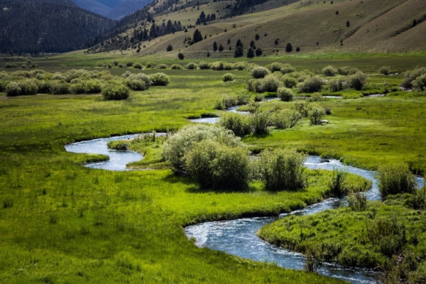 Clark Fork Coalition