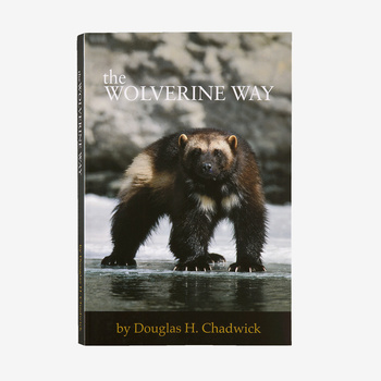 The Wolverine Way by Douglas Chadwick (paperback book or eBook)